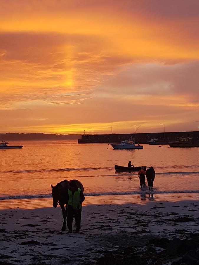 Wayamba Villa Warrnambool Buitenkant foto